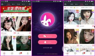国内十大成人直播app,现象级应用背后的故事